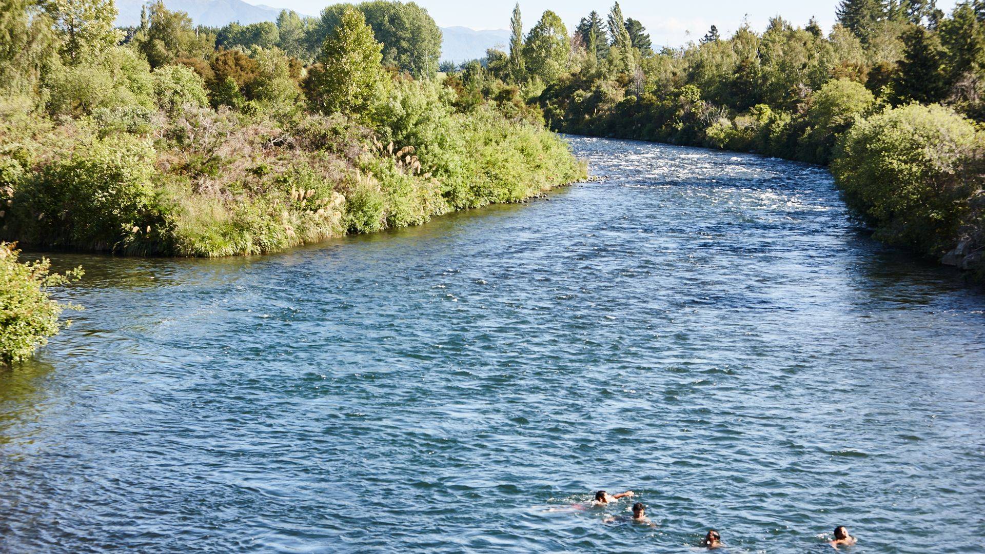 People swimming in stream that leads to Lake Taupo.